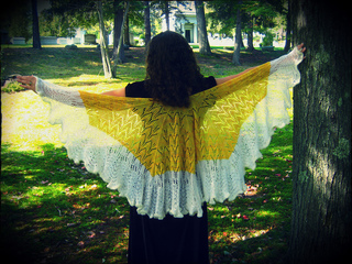 Beautyshawl_small2