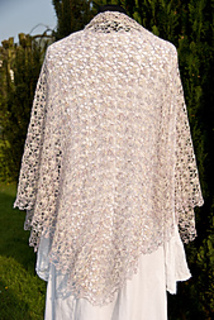 Little_butterfly_back_1184_small2