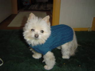Tribble_656_small2