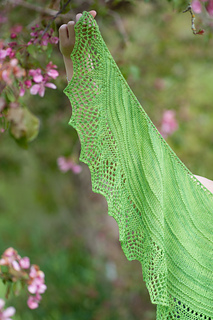 3_shawls__17_of_79__small2