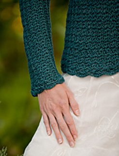 Becomingjanesleeve_small2