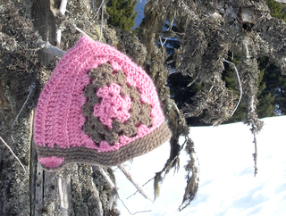 Pinkaltayintree2_small2