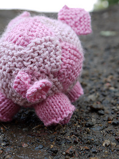 Pig5lowres_small2