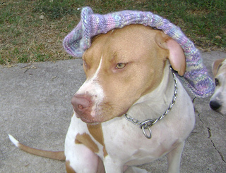 Stove_stock_hat4_small2