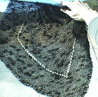 Diagshawl04a_small2
