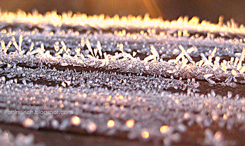 Frost_railing_4_blog_medium