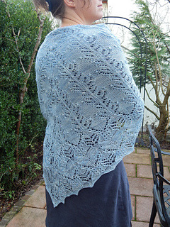Sas_002_small2