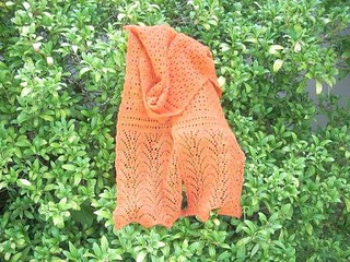 Carrot_scarf_small2
