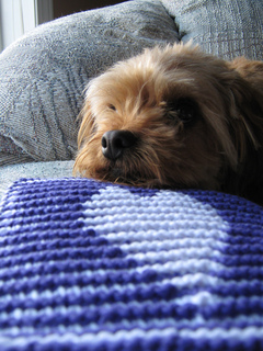 Knitting_2010_07_01_3338_small2