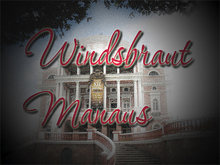 Wb-manaus_small2