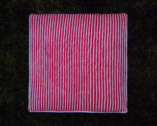 Carpet_-rose_edited_small2