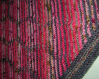 Close_up_1_800_small2