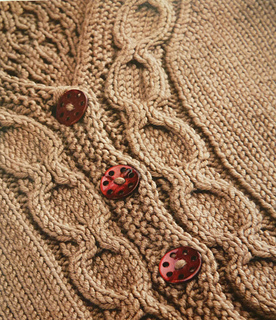 Tilly_close_up_small2