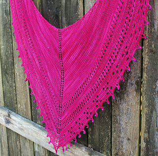 Calypso_pink_fence_small2