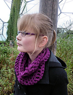 Paloma_purple_1_small2