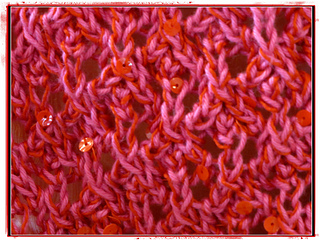 Orange_pink_rib_close_03_pm_small2