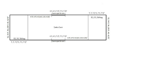 Batwinglatticlaceschematic_medium
