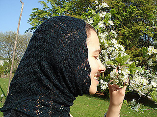 Dsc04380_medium_small2