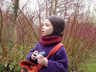 Image_small2
