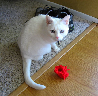 Picture_7_small2