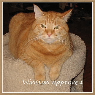 Winstonapproved_small2