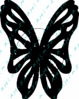 Wingsc_small2