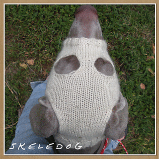 Skel3_small2