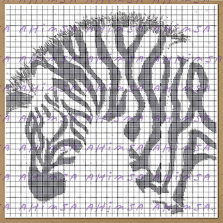 Zebrabut1_small2