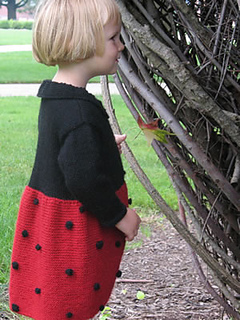 Ladybug_02side_small2