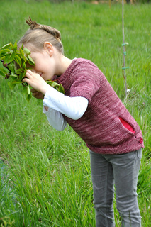 Dsc_0009_small2