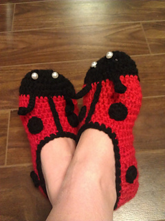Ladybug3_small2