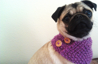 Imag0901_small2