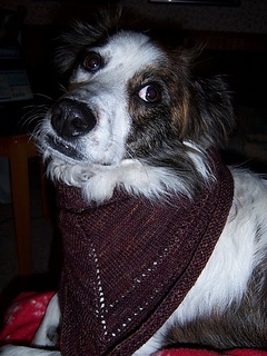 100_4237_small2