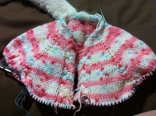 Image_small2