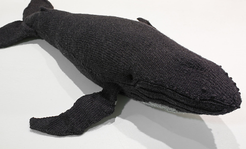Humpback03_medium