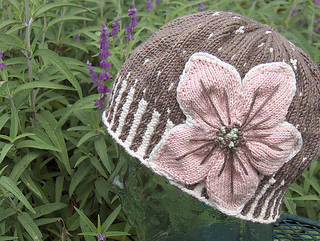 Mocha_latte_ce_010_medium2_small2