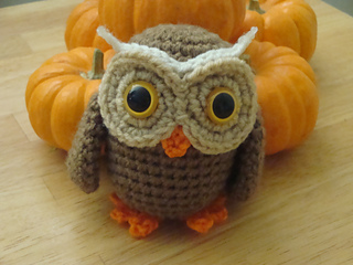 Owl_008_small2