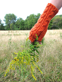 Fiery_searcher_mitt__with_flowers_75_small2