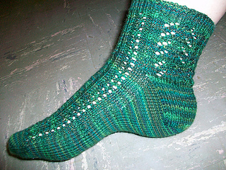 Rain_sock_1_small2