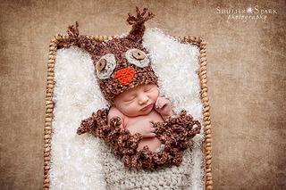 Little_20owl_1__small2