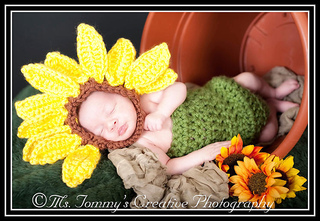 608_sunflower_and_body_suit_small2