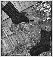 Document_upload8933-1_small