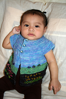 Hgipaio_jlds_small2