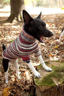 20101020_darbyyarn_1687p_small2