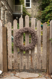 Woolly1_small2