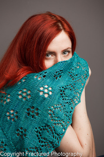 Knitting_0071_small2