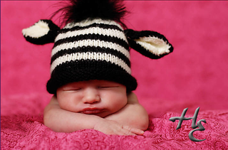 Zebra_small2