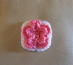 Squareflower_small