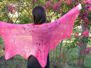 Mariposa2_small2