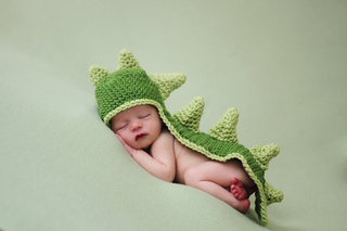 Finn_dino_small2